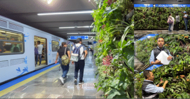 Muro verde en el metro