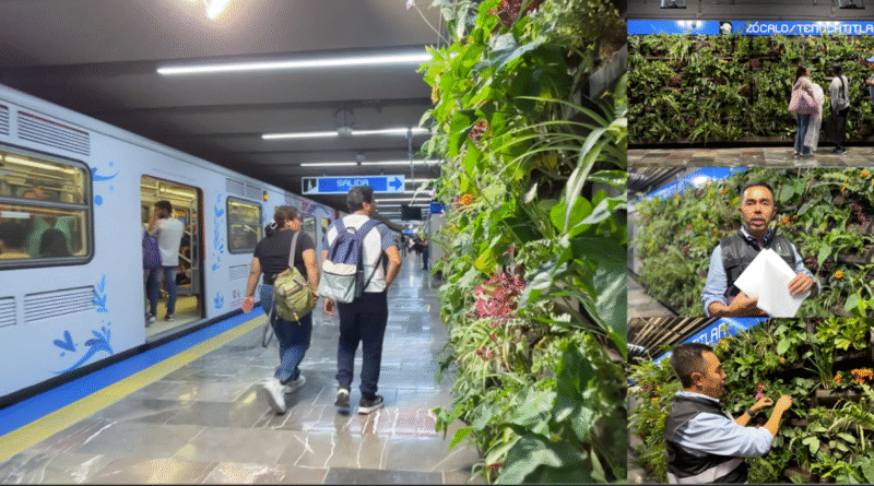 Muro verde en el metro